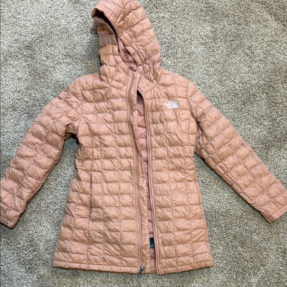 The North Face Girls Pink Puffer Jacket with Hood